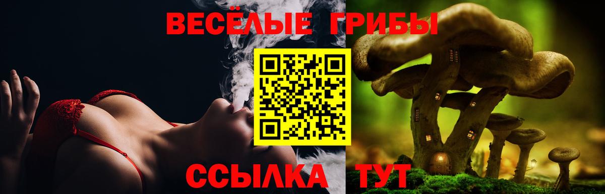 Псилоцибиновые грибы GOLDEN TEACHER Баксан