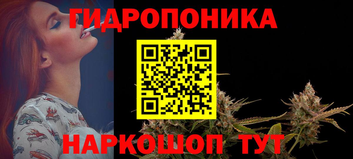 Марихуана индика Баксан